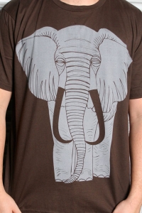 Click To Purchase